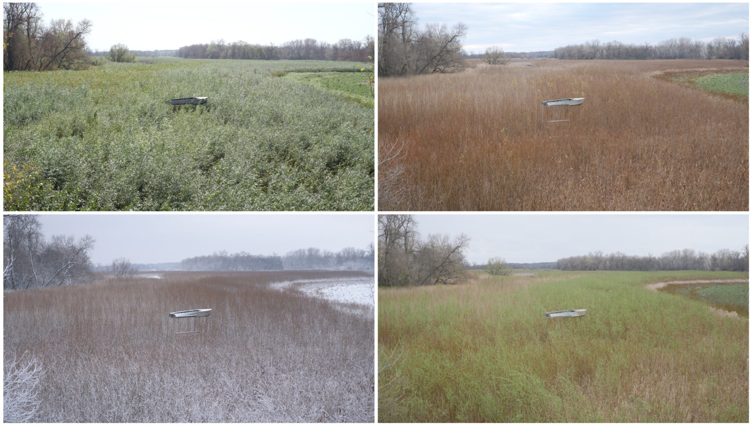 Zhanna Kadyrova: Metsä, still-kuva videoteoksesta, IHME Helsinki 2025 -teos, taiteilijan ja IHME Helsingin luvalla. Englanniksi Zhanna Kadyrova: The Forest, still image of video, IHME Helsinki Commission 2025, Courtesy the artist and IHME Helsinki.